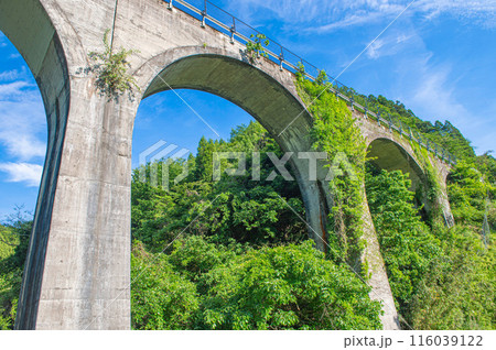 栗木野橋梁（金剛野橋） 116039122
