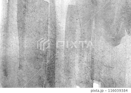 ザラザラの背景素材　モノクロ背景テクスチャ 116039384