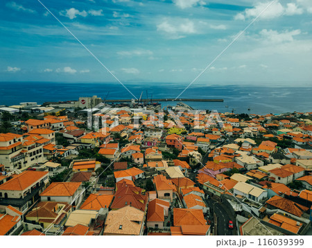 Canical town, Madeira island, Portugal 116039399