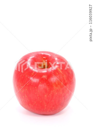 真っ赤なリンゴ サンふじ 丸ごと1個 明るい背景 真っ赤なリンゴ サンふじ 丸ごと1個 明るい背景 116039927