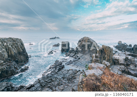 東尋坊から見る日本海 東尋坊から見る日本海 116040171