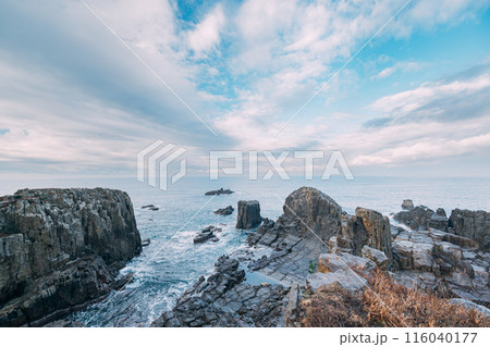 東尋坊の景色 116040177