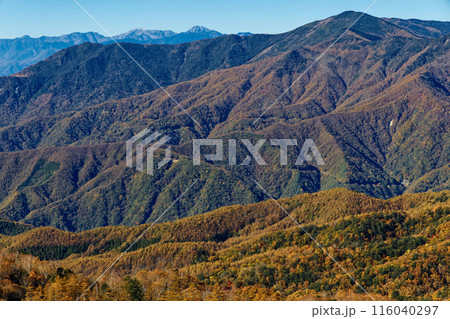 奥秩父・笠取山から見る紅葉の雁峠と黒金山・南アルプスの山並み 奥秩父・笠取山から見る紅葉の雁峠と黒金山・南アルプスの山並み 116040297
