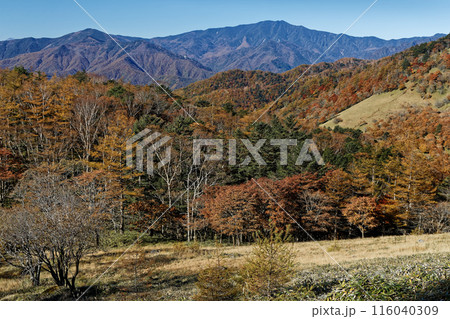 笠取山付近から見る紅葉の奥秩父・雁峠と黒金山と乾徳山 116040309