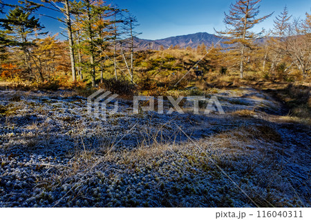 奥秩父・笠取山・分水嶺付近の降霜と国師ヶ岳 116040311