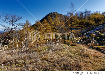 三川分水嶺付近から見る秋色の奥秩父・笠取山 116040313