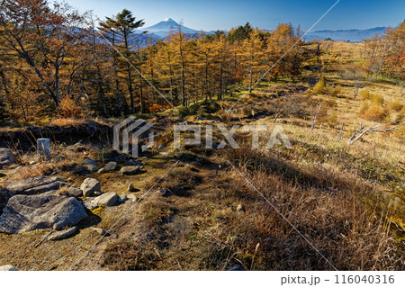 笠取山付近・分水嶺から見るカラマツの黄葉と富士山 116040316