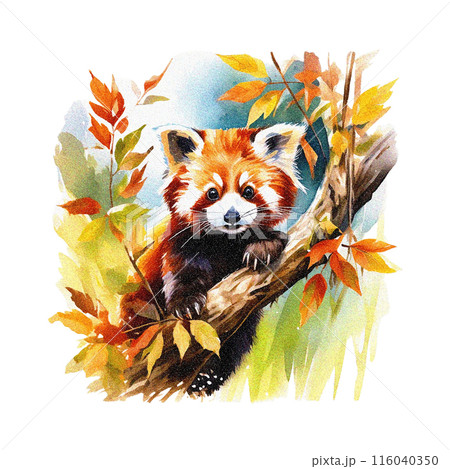 レッサーパンダの水彩イラスト 白背景の切り抜きのイラスト素材