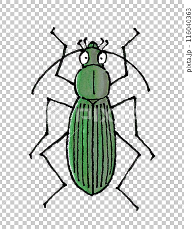 白尾甲蟲 116040363