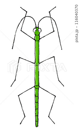 ナナフシ 116040370