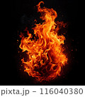 Blazing Fire on Black Background 116040380