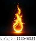 Blazing Fire on Black Background 116040385
