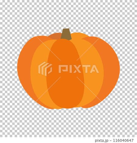 Simple and cute pumpkin illustration 116040647