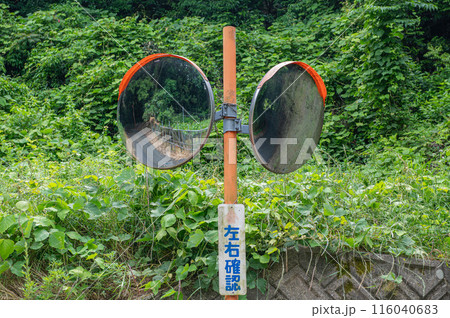 見通しの悪い林道のカーブミラー 116040683