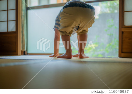 和室と子供 和室と子供 116040987