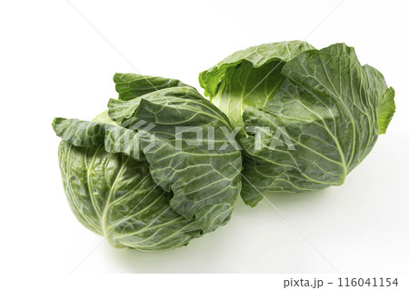 白バックのキャベツ 116041154