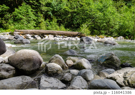 Kettle River near Cascade Falls located Northeast of Mission, British Columbia, Canada 116041386