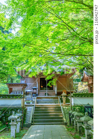 初夏の雷山千如寺大悲王院　福岡県糸島市 116042747