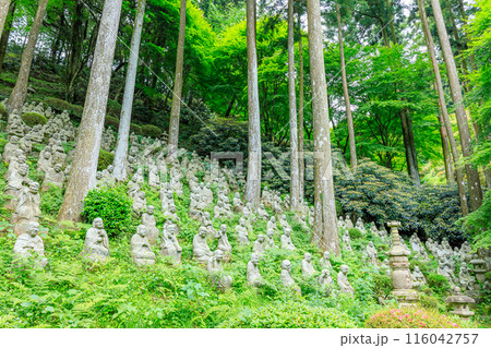 初夏の雷山千如寺大悲王院　五百羅漢　福岡県糸島市 116042757