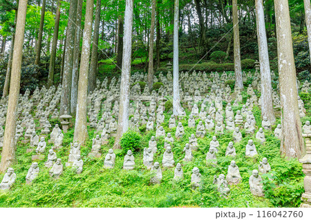 初夏の雷山千如寺大悲王院　五百羅漢　福岡県糸島市 116042760
