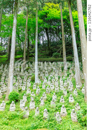 初夏の雷山千如寺大悲王院　五百羅漢　福岡県糸島市 116042762