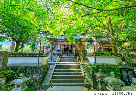 初夏の雷山千如寺大悲王院　福岡県糸島市 116042792