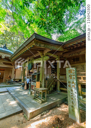 初夏の雷山千如寺大悲王院　観音堂　福岡県糸島市 116042800