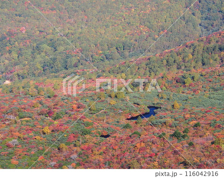 秋の那須岳・姥が平の紅葉 116042916