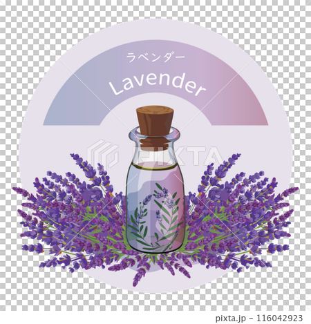 薰衣草和薰衣草精油瓶，芳香植物，香氣，精油 116042923