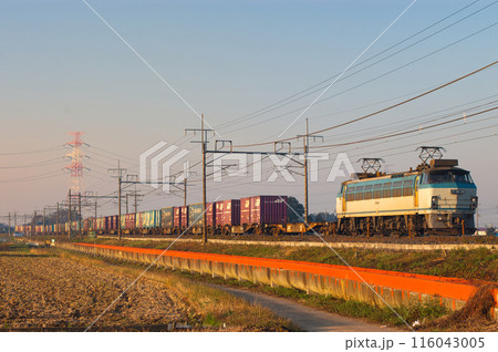 EF66 EF66 116043005