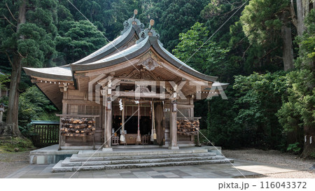 真山神社:拝殿 真山神社:拝殿 116043372