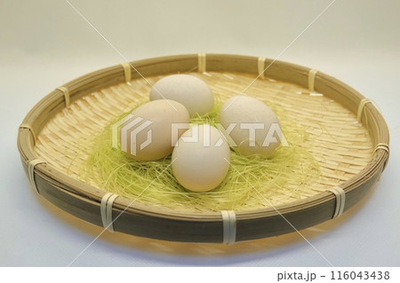 烏骨鶏の卵 烏骨鶏の卵 116043438