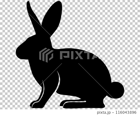 横向きウサギのシルエット 116043896