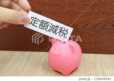 定額減税と貯金箱の写真 116044042