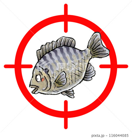 ブルーギルターゲットマーク ブルーギルターゲットマーク 116044085