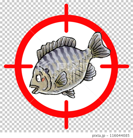 ブルーギルターゲットマーク ブルーギルターゲットマーク 116044085