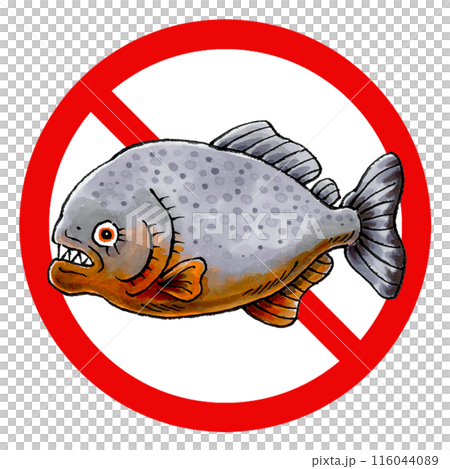 ピラニア禁止マーク ピラニア禁止マーク 116044089