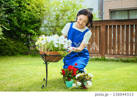 寄せ植えをする笑顔のミドル女性 116044313