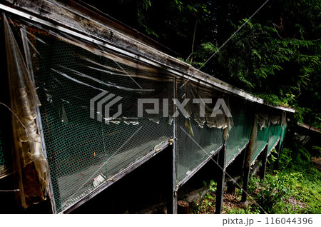 閉園した動物園に残された檻 閉園した動物園に残された檻 116044396