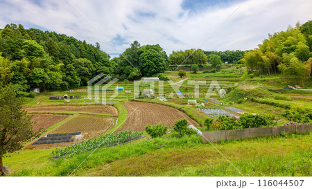 牽牛子塚古墳 明日香村越 古墳横の田畑 2024年5月20日 116044507