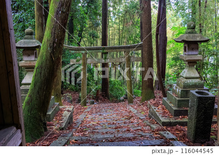 束明神古墳 高取町佐田 春日神社(束明神古墳) 2024年5月20日 116044545