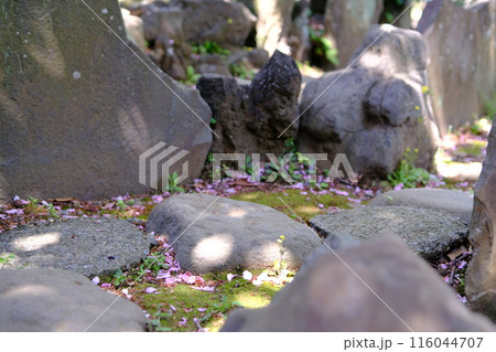 神社の石 116044707