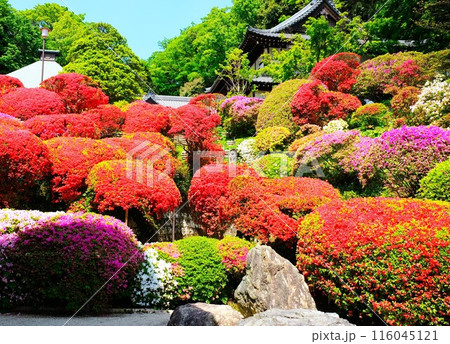 神木山　等覚院 116045121