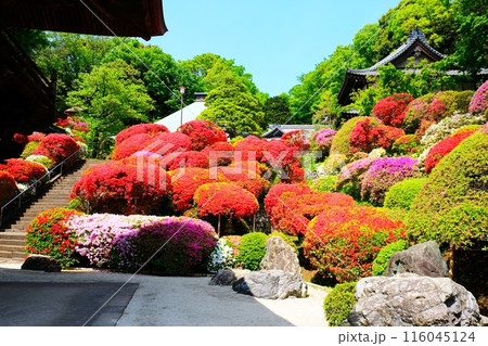 神木山　等覚院 116045124