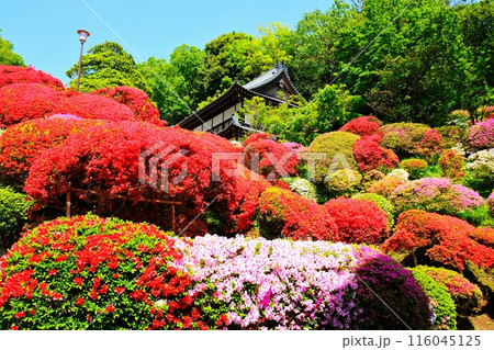 神木山 等覚院 神木山 等覚院 116045125