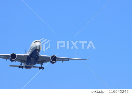 着陸進入する旅客機　 116045245
