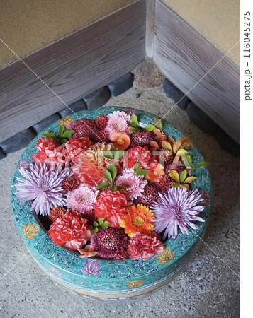 赤やオレンジ、紫色のお花が浮かぶ、秋の一条恵観山荘の花手水 116045275