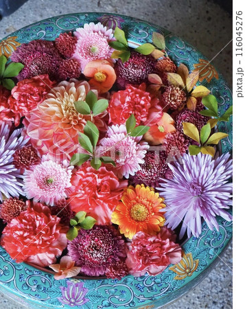 赤やオレンジ、紫色のお花が浮かぶ、秋の一条恵観山荘の花手水 116045276