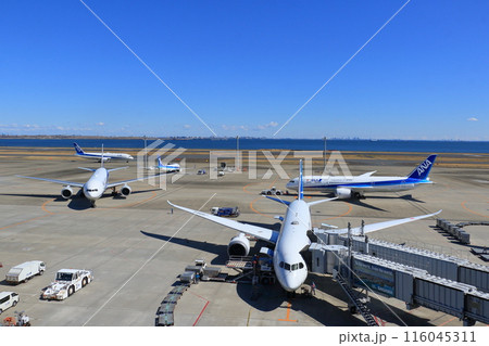 羽田空港第2ターミナルのスポットの風景 116045311