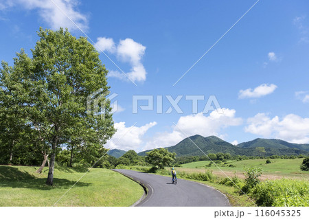 新緑・初夏のサイクリングイメージ　（蒜山高原） 116045325
